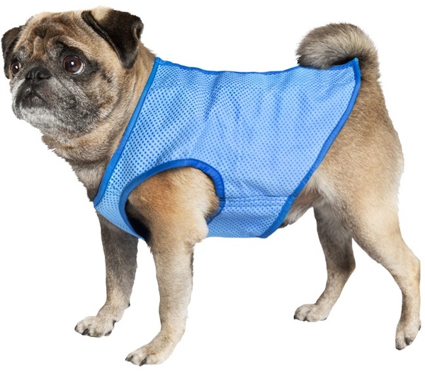 Nobby chladící vesta pro psa